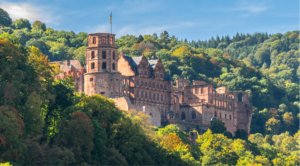 Heidelberg - Aufbauseminar 1: Labordiagnostik und ihre praktische Anwendung - 25. November 2023 @ Heidelberg | Baden-Württemberg | Deutschland